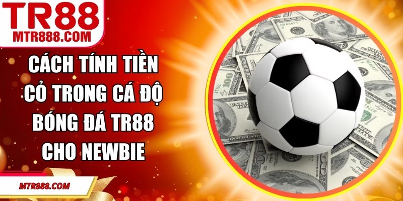 Cách Tính Tiền Cỏ Trong Cá Độ Bóng Đá TR88 Cho Newbie