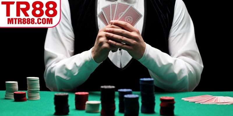 Theo dõi xu hướng và thống kê thắng thua